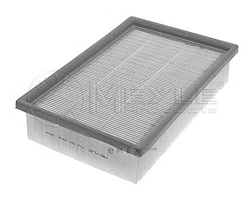 OEM FILTER ASSY, AIR ELEMENT 7123210002