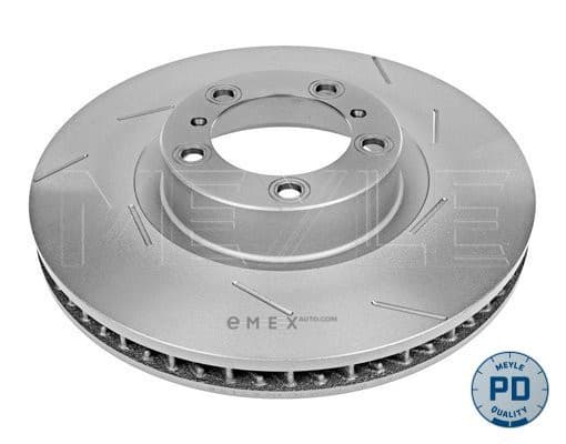 OEM PORSCHE PANAMERA BRK DISC RH 4835210008PD