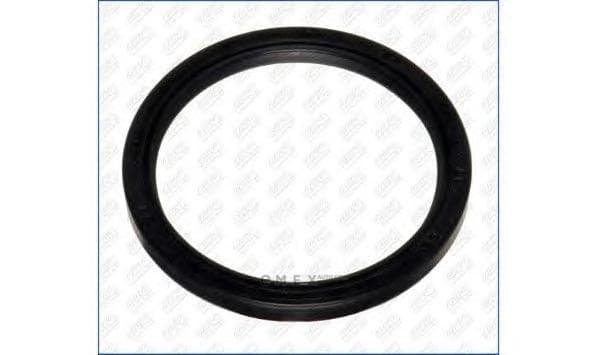 OEM SEAL RING 15037300