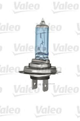 OEM LIGHT BULB 032521