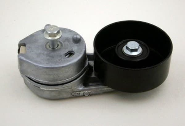 OEM TENSIONER ASSY, PULLEY PQG500250