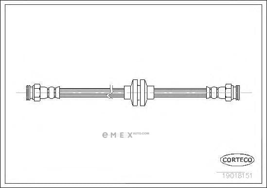 OEM 19018151