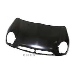 OEM HOOD 41617067753