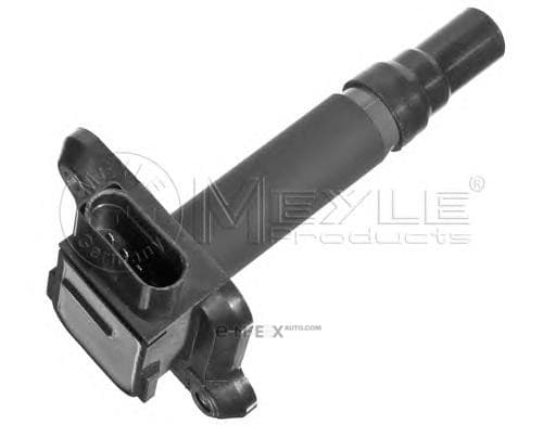 OEM IGNITION COIL 1008850002