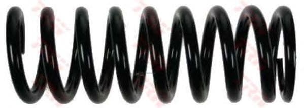 OEM COIL SPRING W201 JCS924