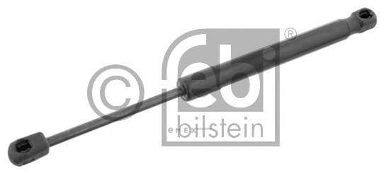 OEM GAS SPRING REAR BOOT BMW E93/320,325,330i 34508