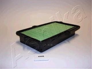 OEM FILTER ASSY, AIR ELEMENT 2004498