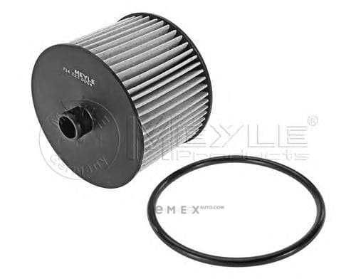 OEM FILTER ASSY, FUEL PUMP 7143230004