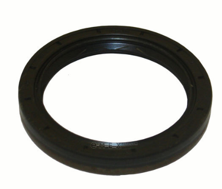 OEM SEAL RING 02J409189E