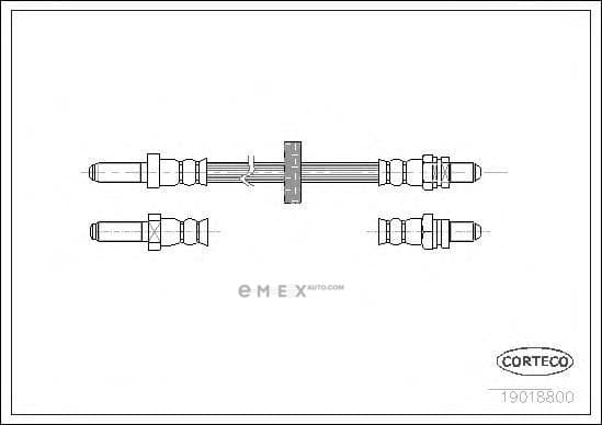 OEM 19018800