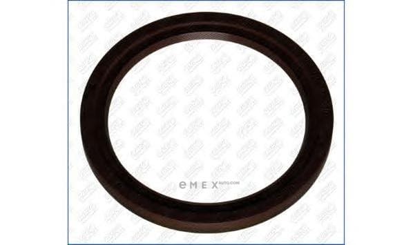 OEM SEAL RING 15055100