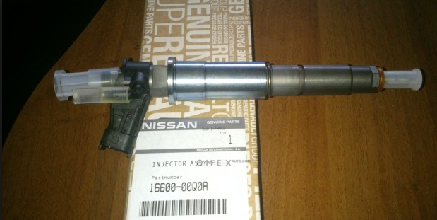 OEM NOZZLE ASSY, FUEL INJECTOR 1660000Q0A