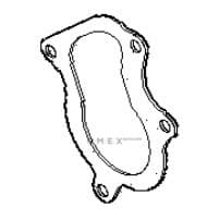 OEM FLAT GASKET ENGINE 4894510