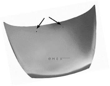 OEM HOOD ASY 1087913