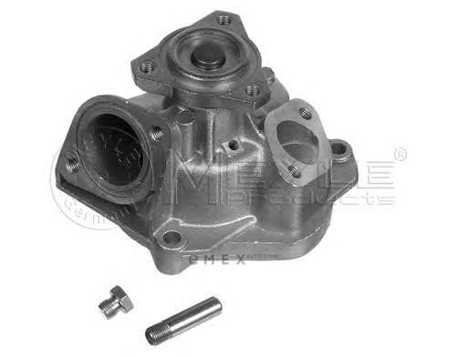 OEM WATER PUMP 1130120019