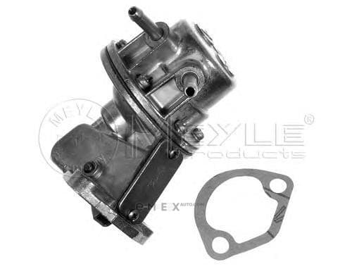 OEM FUEL PUMP 1001270002