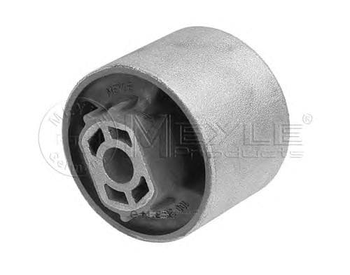 OEM BUSHING, SUSPENSION ARM 1005050014