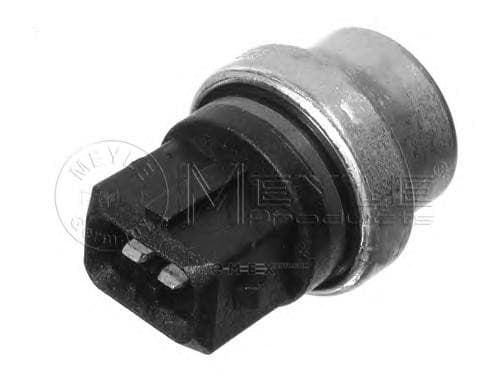 OEM SENSOR ASSY, TEMPERATURE 1009190024