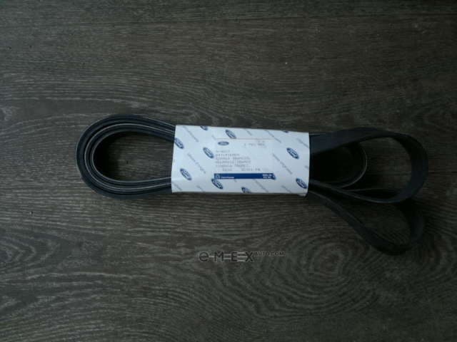 OEM BELT, V 1750991