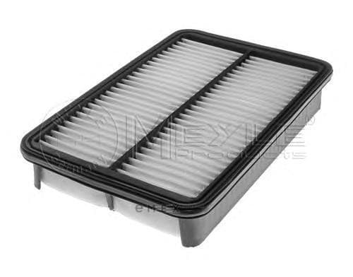 OEM AIR FILTER 0123210019