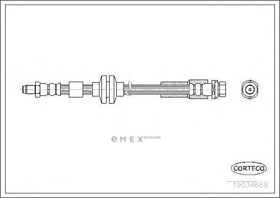 OEM 19034669