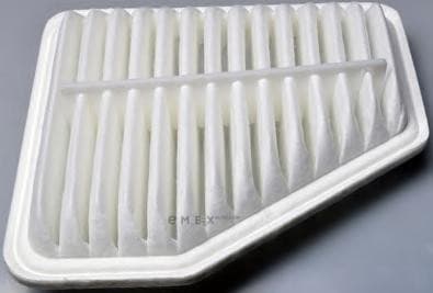 OEM FILTER ASSY, AIR ELEMENT A140819