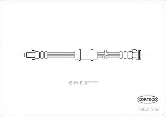 OEM 19031559