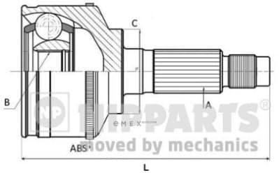 OEM N2825034