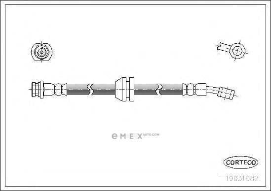 OEM 19031682