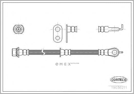 OEM 19036211