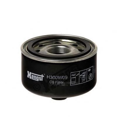 OEM OIL FILTER H300W09