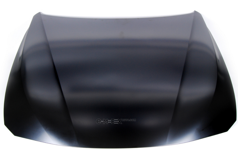 OEM HOOD 41007290944