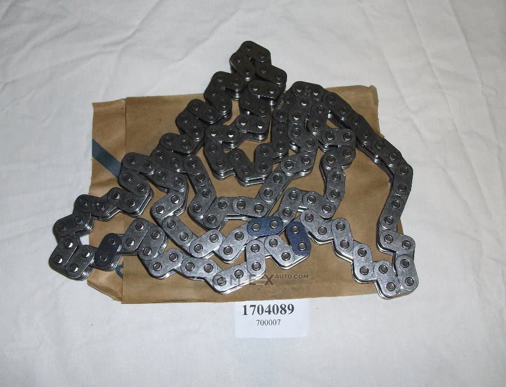 OEM CHAIN ASSY, CAMSHAFT 1704089