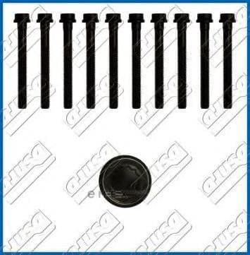 OEM CYLINDER HEAD BOLT SE 81010500