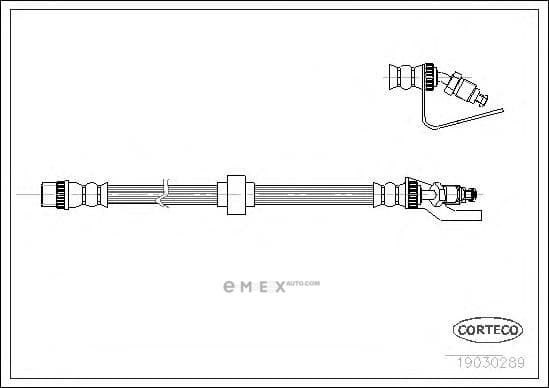 OEM 19030289