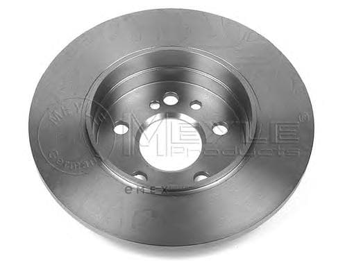 OEM BRAKE DISC (RR) 0155232008