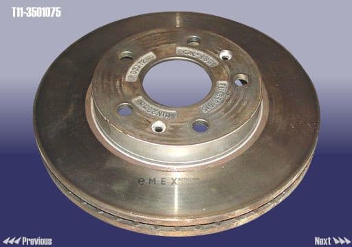 OEM Brake disc frt T113501075