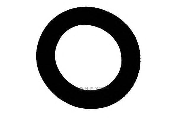 OEM SEAL RING 5002654000