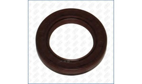 OEM SEAL RING 15066500