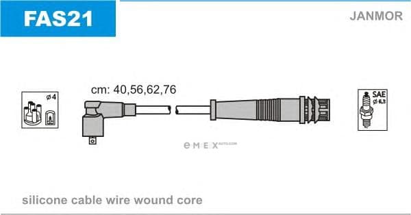 OEM FAS21