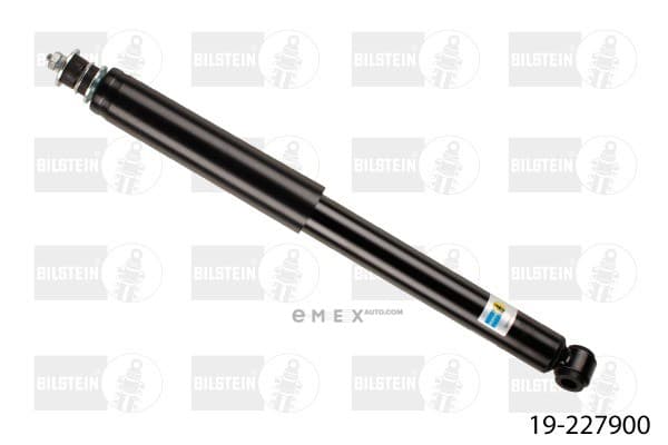 OEM 19227900