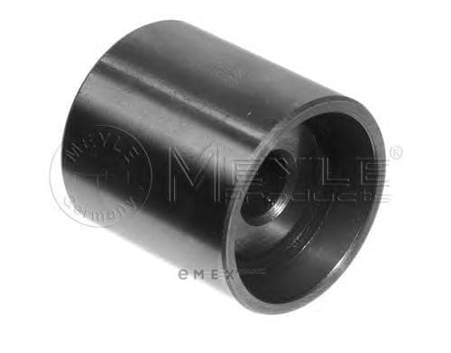 OEM TIMING BELT ROLLER 1001090034