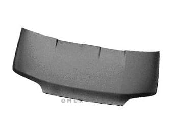 OEM HOOD ASY 7200054