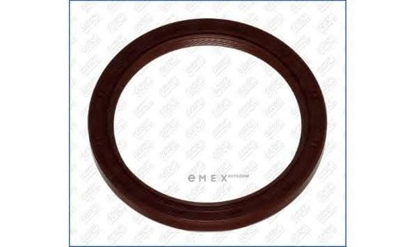 OEM SEAL RING 15063200