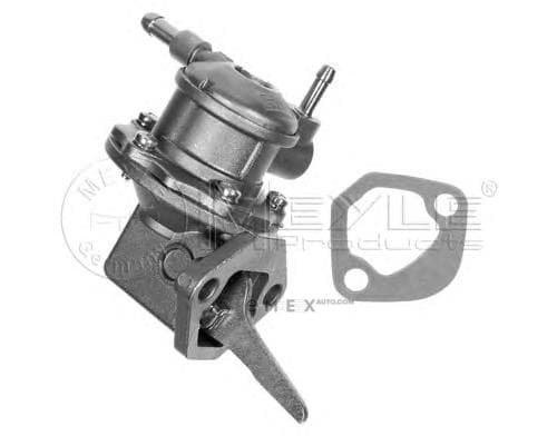 OEM FUEL PUMP 1001270003