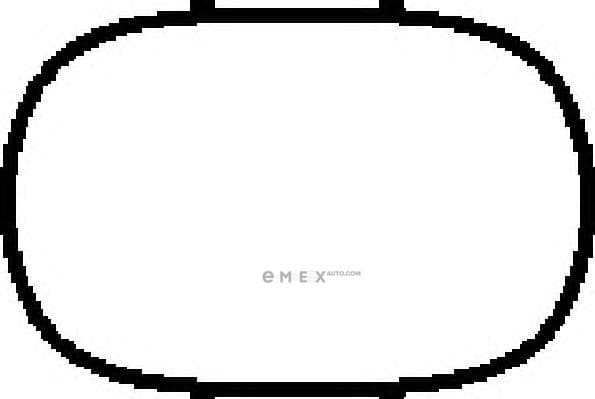 OEM MISCELLANEOUS GASKET 00579300