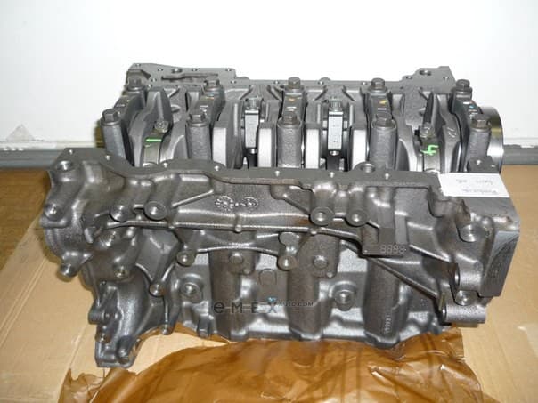 OEM SHORT BLOCK ASSY 1596577