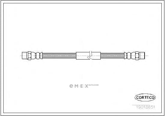 OEM 19018651