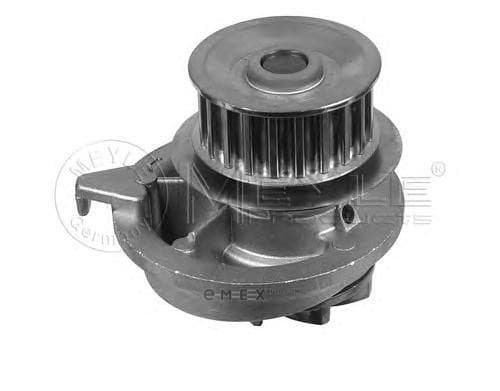 OEM WATER PUMP 6136004038