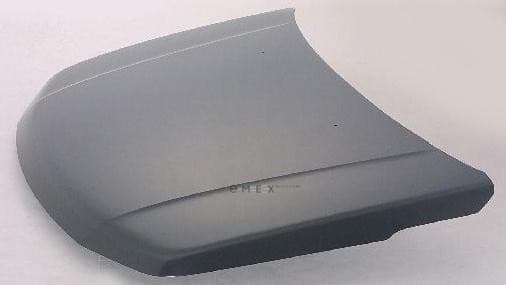 OEM PANEL SET FRONT HOOD 5730065810